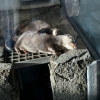 評論圖片 2