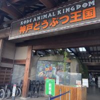 評論圖片 1