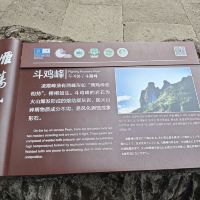 評論圖片 5