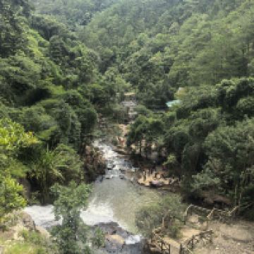 評論圖片 6