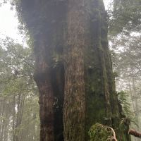 評論圖片 2