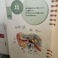 評論圖片 6