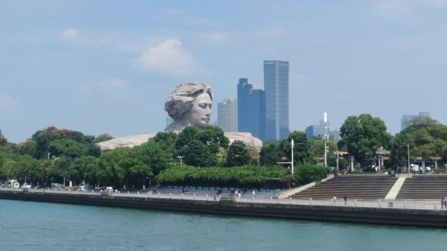 review picture