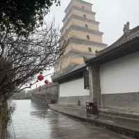 評論圖片 5