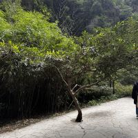 評論圖片 7