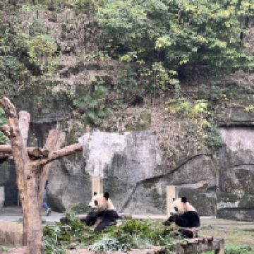 評論圖片 9