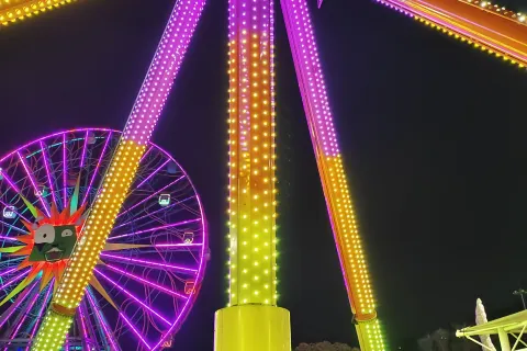 Joyland