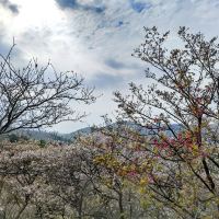 評論圖片 7