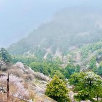 評論圖片 8