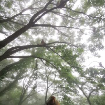 評論圖片 5