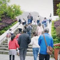評論圖片 6