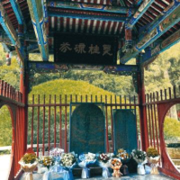 評論圖片 6