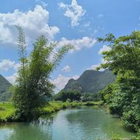 評論圖片 6