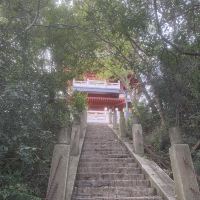 評論圖片 8