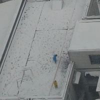 評論圖片 7