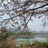 評論圖片 5