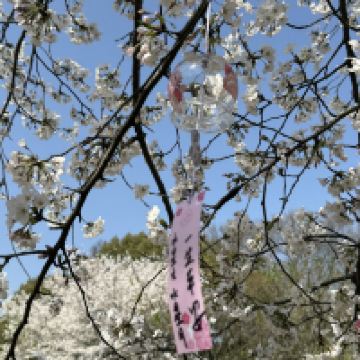 評論圖片 9