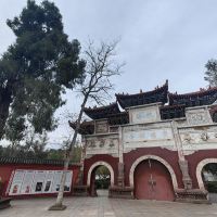 評論圖片 1