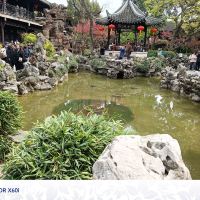 評論圖片 6