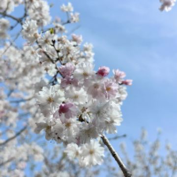 評論圖片 3