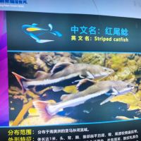 評論圖片 3