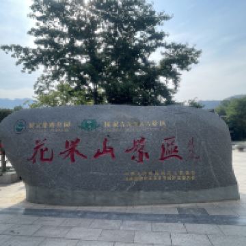評論圖片 1