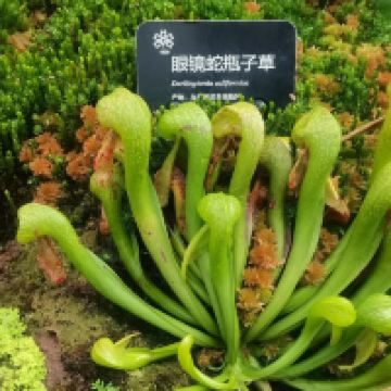 評論圖片 3