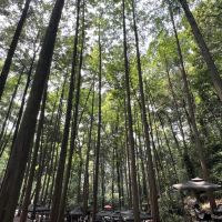 評論圖片 9