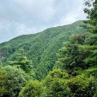 評論圖片 7
