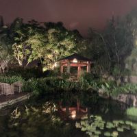 評論圖片 4