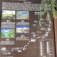 評論圖片 6