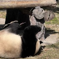 評論圖片 7