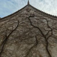 評論圖片 4