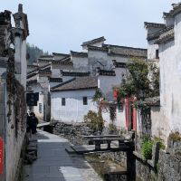 評論圖片 5