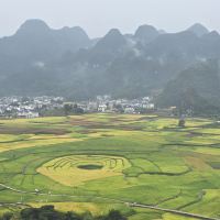 評論圖片 2