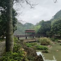 評論圖片 3