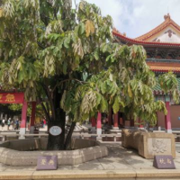 評論圖片 3