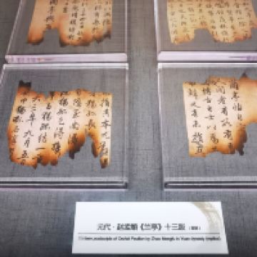 評論圖片 7