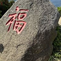 評論圖片 7