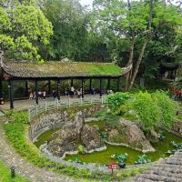 評論圖片 7