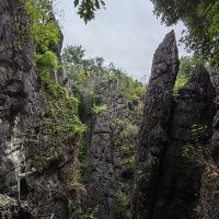 評論圖片 4