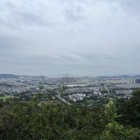 評論圖片 2