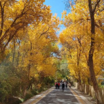 評論圖片 8