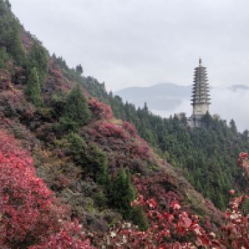 評論圖片 4