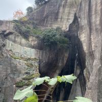 評論圖片 8
