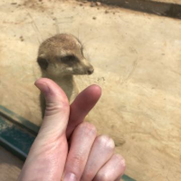 評論圖片 2