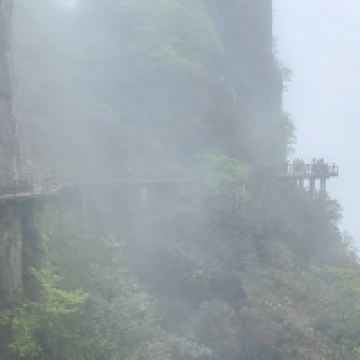 評論圖片 8