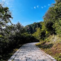 評論圖片 4