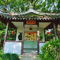 評論圖片 7