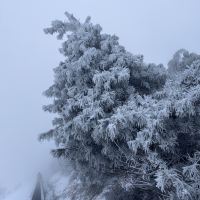 評論圖片 3